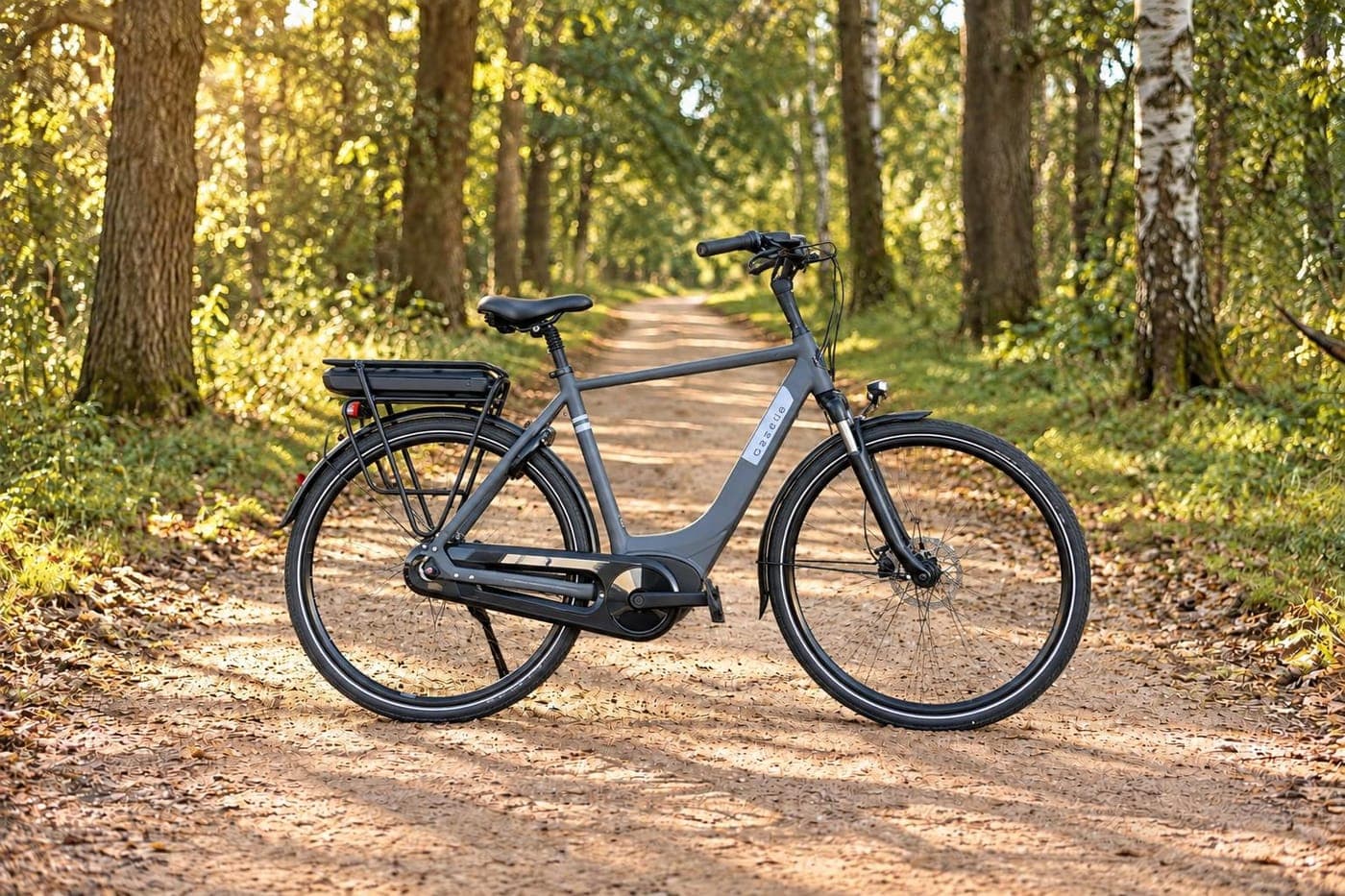 E-bike in studio Bospad